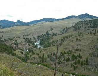 Blacktail Deer Creek