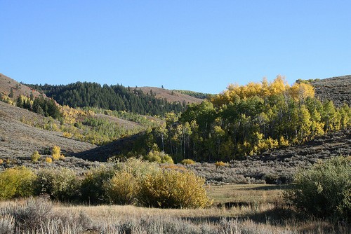 listen to Sawmill Canyon (Utah) ambience (0001471)