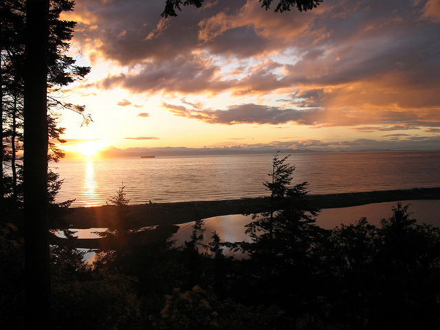 listen to Sparrow, Dungeness Spit