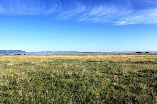 listen to Wind at Mortenson Lake National Wildlife Refuge