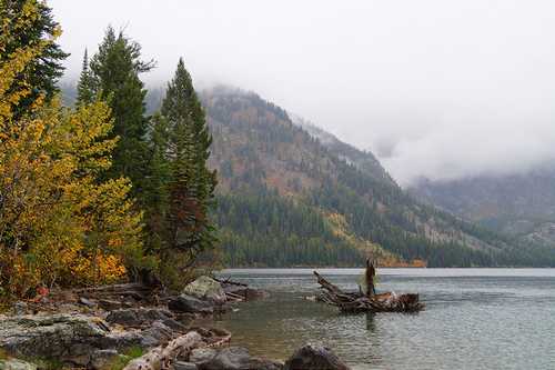 listen to September on Yellowstone Lake (2505)