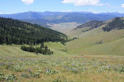 listen to Sparse sounds during an afternoon at the National Bison Range in Montana