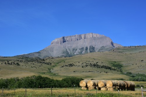 listen to Birdsong near Ear Mountain