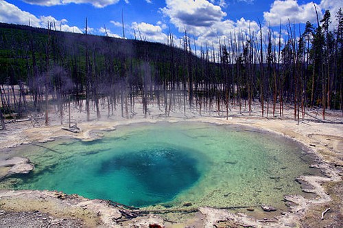 listen to Emerald Spring, Norris Geyser Basin, Yellowstone National Park