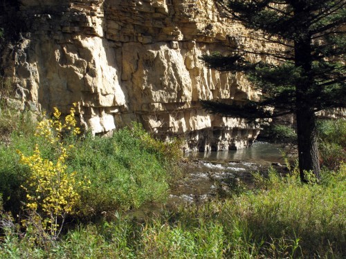 listen to Birds calling on a hillside along Miller Gulch Road