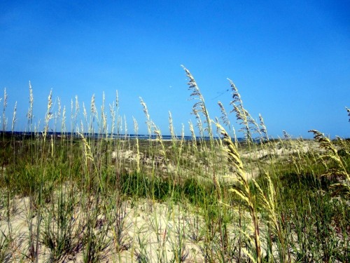 listen to Wind and meadowlarks along Bellview Road