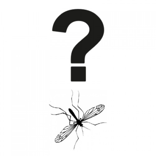 listen to Insect