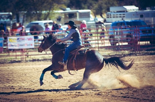 listen to Interviews with rodeo contestants on the subject of bareback riding